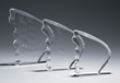 Wing Acrylic Award