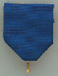 Drape Ribbon w/Snap Clip, Blue