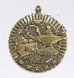 Knowledge Star Medal