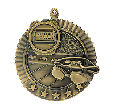 Swimming Star Medal