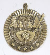 Golf Star Medal