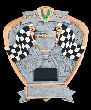 Racing Flag Shield