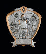 Football Shield