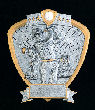 Gold Shield, Male